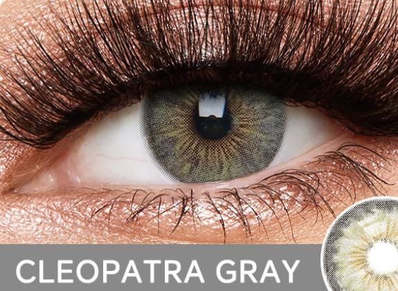 Cleopatra gray