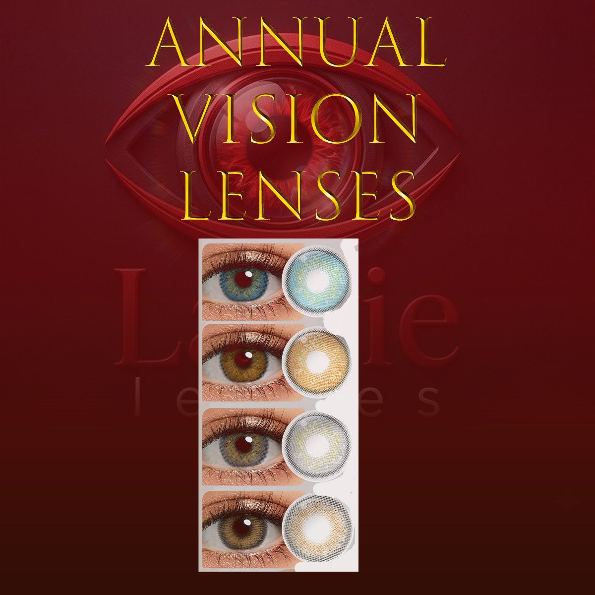 Annual Vision Lenses