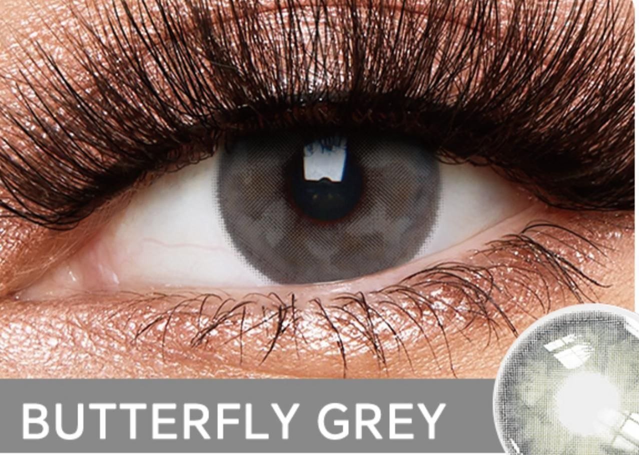 Butterfly gray