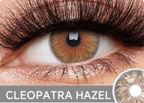 Cleopatra hazel